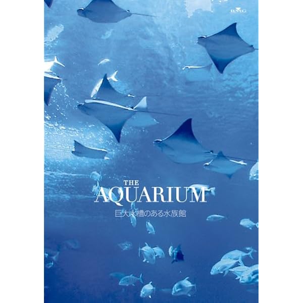 Amazon.co.jp: An Aquarium－水族館 ～沖縄美ら海水族館～ DVD